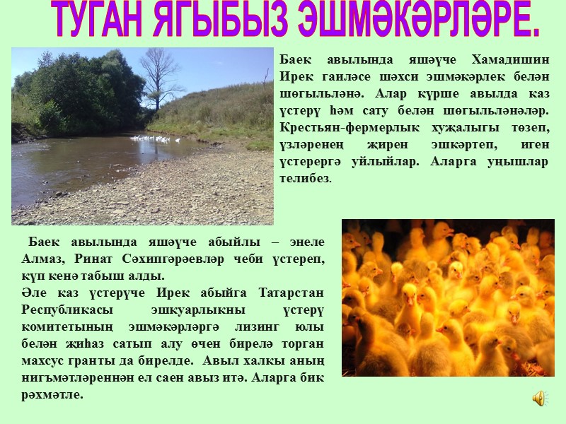 Баек авылында яшәүче абыйлы – энеле Алмаз, Ринат Сәхипгәрәевләр чеби үстереп,  күп кенә